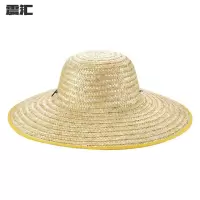 震汇 草帽 均码 个