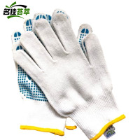 名佳荟萃 点珠手套 DZ-01 23cm 双