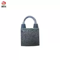 楚庆优 挂锁 通用锁通开锁 20MM短梁(带1把钥匙)把