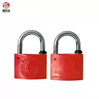 楚庆优 塑钢表箱锁通开锁通用锁 35锁体20钩带一把钥匙 把