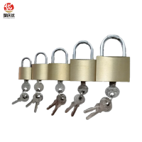 楚庆优 挂锁铜锁通开锁通用锁 50MM 把