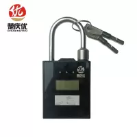 楚庆优 智能锁 CQY-BL11 把