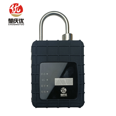 楚庆优 智能锁 CQY-4G01 把