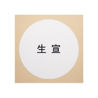 蓝壹合石书法国画用卡纸生/熟宣50*50cm 50张/包