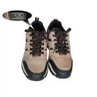 红晨岛安全工作鞋H5(42)(双)