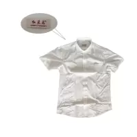 红晨岛衬衣(41)(件)