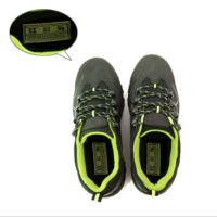 红晨岛 安全工作鞋 41 双