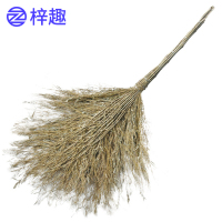 梓趣 大扫帚 5.5斤 个