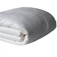 梦丽赛 高端提花贡缎蚕丝被 220cm×240cm(个)