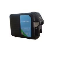 DINGSHENG MACHINE 锂电池 LDC 36V15A 块