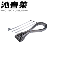 沁春莱不锈钢扎带4.6*200-100/包