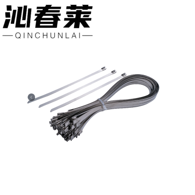 沁春莱不锈钢扎带4.6*400-100/包