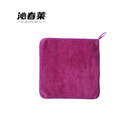 沁春莱加厚珊瑚绒抹布(紫色)30*30cm/条