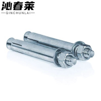 沁春莱 膨胀螺丝 M10*200 个