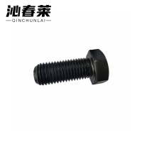 沁春莱 4.8级六角头螺丝 M16*60个