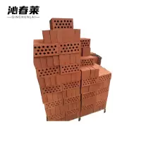 沁春莱 多孔红砖 240*110*90mm 块