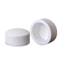 时速 PPR堵帽 75mm个