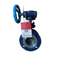 时速 铸钢硬密封法兰蝶阀 D343H-16C DN65 个