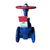 时速 铸铁明杆法兰闸阀 Z41T-16L DN125 个