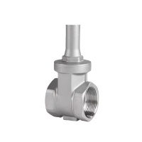 允诚 不锈钢锁闭闸阀 DN25 个