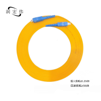 润宏伟 低烟无卤 光纤跳线 尾纤 SC-SC-3m 条