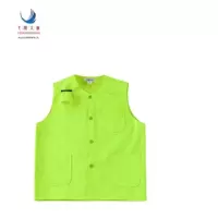 飞翔大雁 荧光黄马甲 特、大、中、小 件