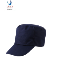 飞翔大雁 工作帽 均码 顶