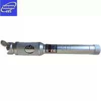 赛欧诺 红光笔 30公里 支