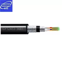 赛欧诺 铠装阻燃光缆 GYTZA53-36B1 米