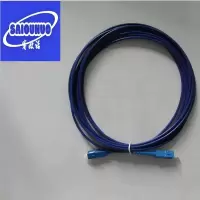 蓝色铠装尾纤 SC-SC 10米 根