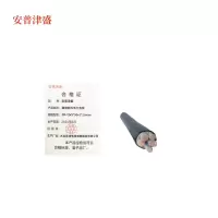 安普津盛 阻燃铜芯电力电缆ZR-YJV3*50+2*25mm0.6/1KV