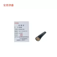 安普津盛 铜芯铠装电力电缆YJV22 4*35mm0.6/1kv 米