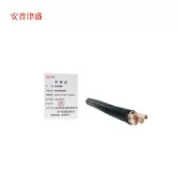 安普津盛 铜芯铠装电缆YJV22 3*185+1*95mm0.6/1kv 米