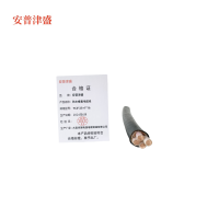 安普津盛 防水橡套电缆YC3*25+1*16 450/750V 米