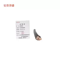安普津盛 防水橡套电缆YC3*25+1*16 450/750V 米