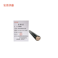 安普津盛 聚氯乙烯铠装电力电缆ZC-YJV22 3*25+1*16mm² 0.6/1kv 米
