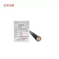 安普津盛 聚氯乙烯铠装电力电缆ZC-YJV22 3*25+1*16mm² 米