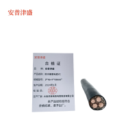 安普津盛 防水橡套电缆YC3*16+1*10 电压450/750V 米