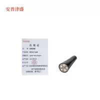 安普津盛 铜芯电力电缆YJV3*10+2*6mm 0.6/1kv 米