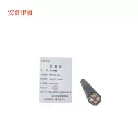安普津盛 铜芯电力电缆YJV3*6+1*4mm 米