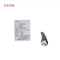 安普津盛 铜芯铠装电力电缆YJV22-0.6/1KV-4*50mm 米