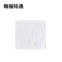 翰骊陆通 加厚纯棉全棉小方巾擦拭布抹布 白色25cm*25cm 条