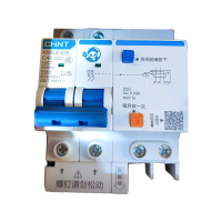正泰 漏电保护器NXBLE-63E 2P C40 CDZ 30mA （54个/箱）