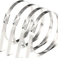 霖冠鑫不锈钢扎带5*250mm/根