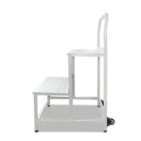 祁川 仓库登高车 两步梯/个