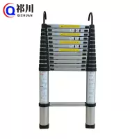 祁川 伸缩梯子 4.1米 把