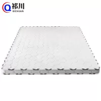 祁川 床垫棕垫 1000*2000*100mm/张