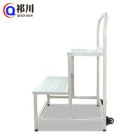 祁川 移动平台梯 两步梯/个