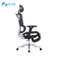 欣安顺 人体工学椅(带脚踏) 720*640*1260mm 张