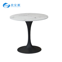 欣安顺 休闲桌 600*730*750mm 张